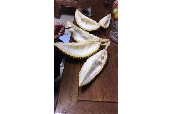 榴莲壳的用处