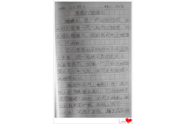抄日记200字