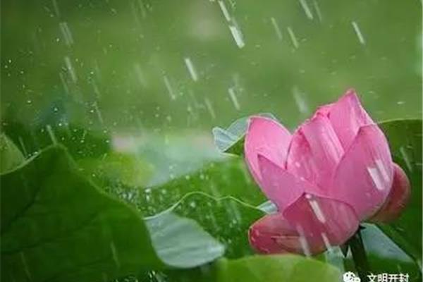 有关雨的诗