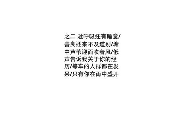 关于善良的成语