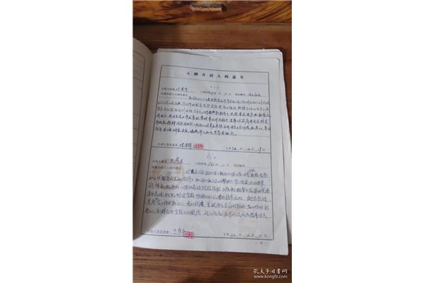 共青团入团志愿书