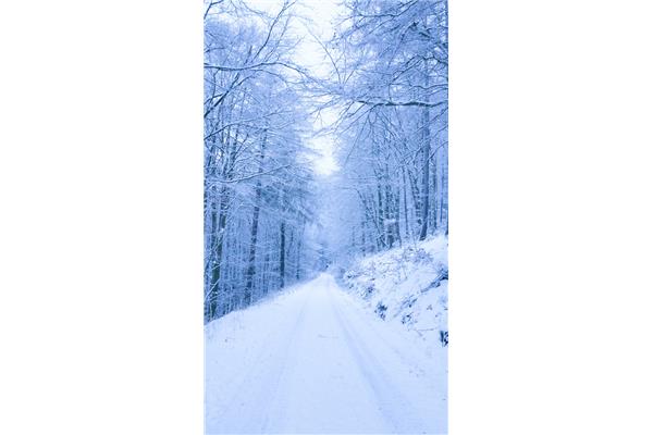 踩雪的声音