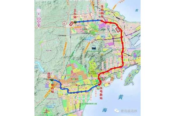 青岛最新消息