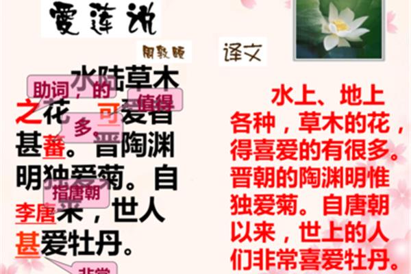 爱莲说的译文