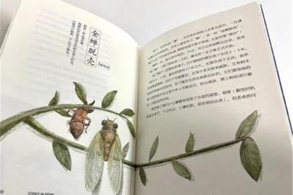 昆虫记被誉为什么