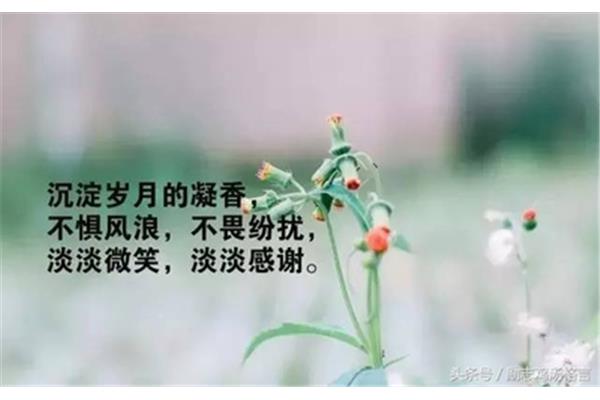 致自己的短句
