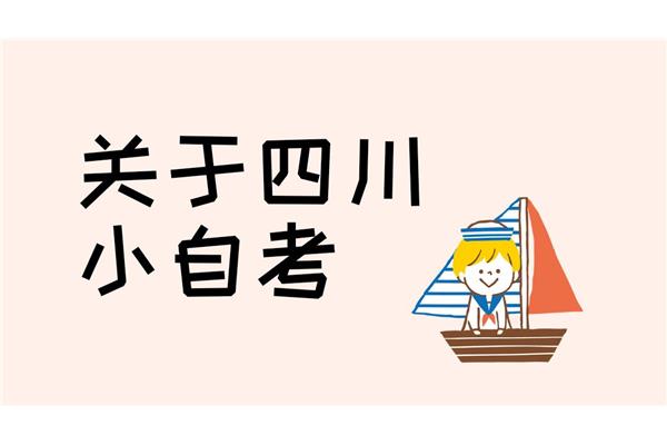 什么是小自考