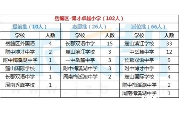 博才卓越小学