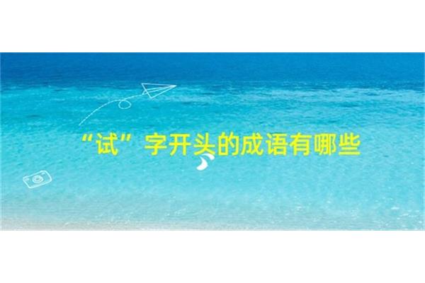 爽字开头的成语