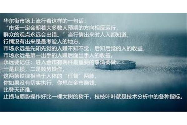 永远的避风港