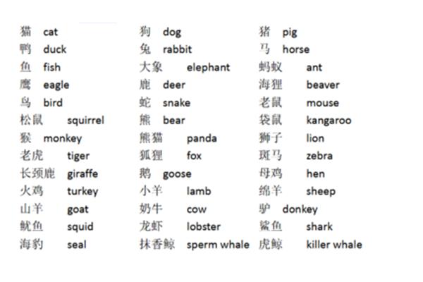 关于兔的词语