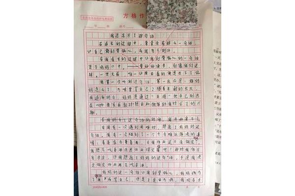 帮助作文400字