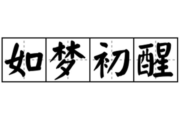 如梦初醒的意思