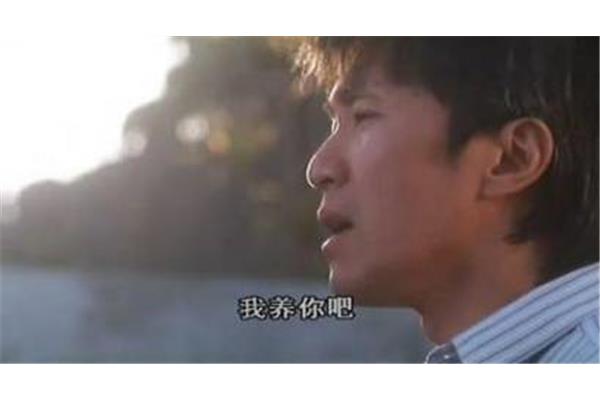永远的避风港
