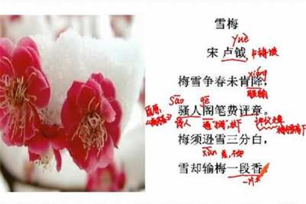 雪梅宋卢钺诗