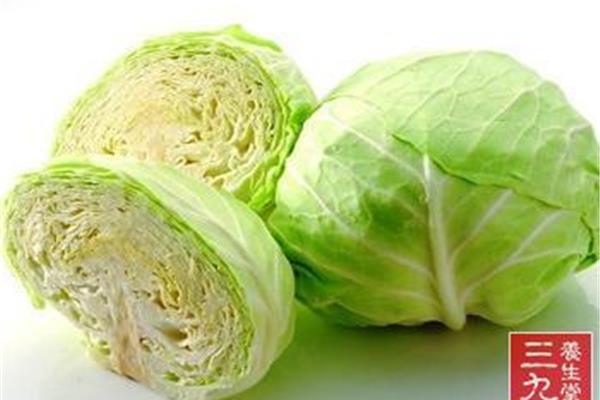 卷心菜英文