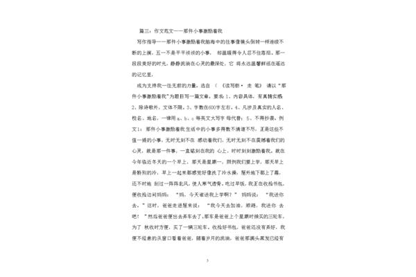 小事作文600字