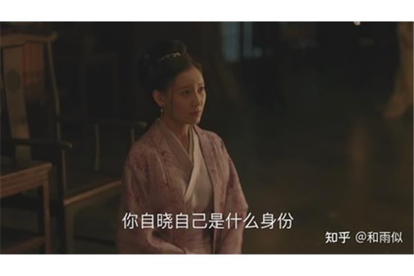 一个雨一个妾