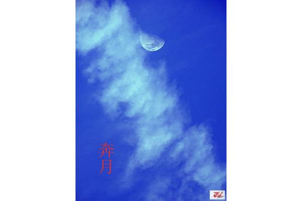 初十的月亮图片