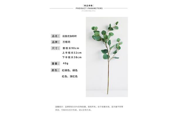 尤加利叶花语