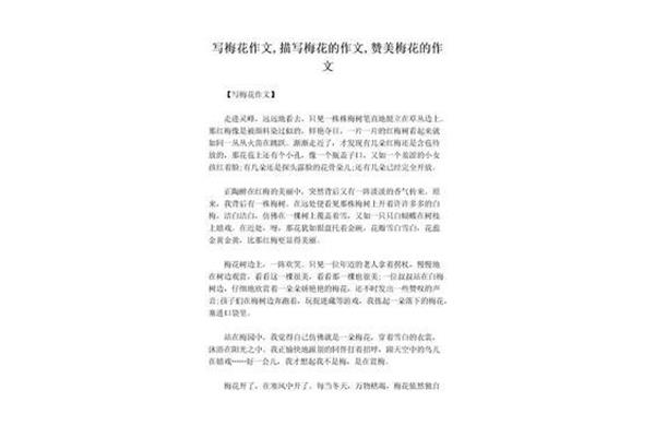 关于梅花的作文