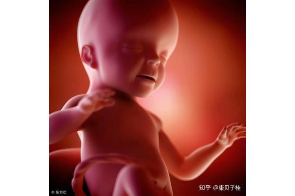 妈妈的眼睛像什么