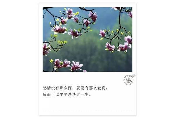 平平淡淡过一生