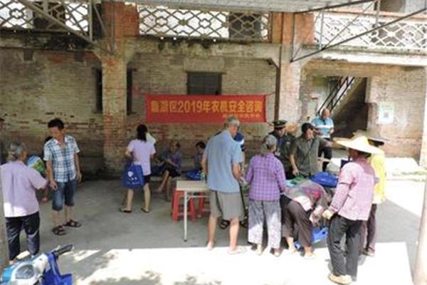 鼎湖区政府门户网