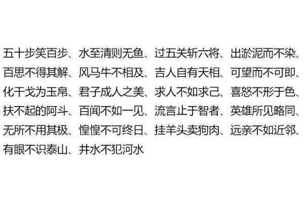 6个字的成语