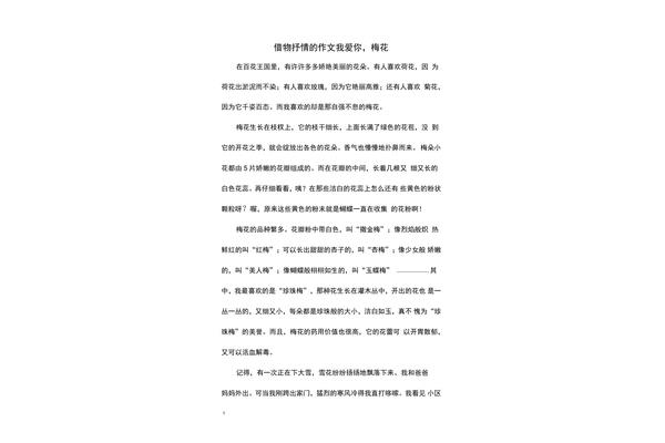关于梅花的作文