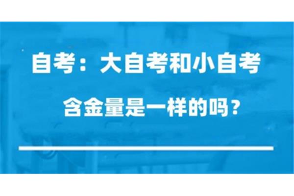 什么是小自考