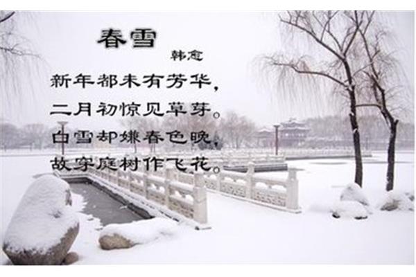 关于新年的诗