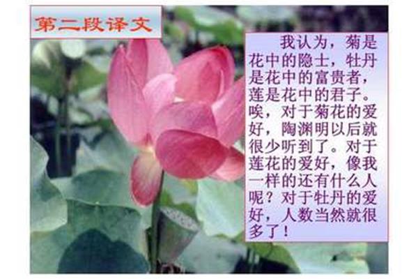 爱莲说的译文