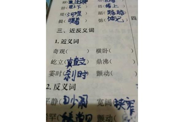 奇观的近义词