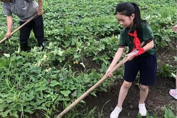 什么是实践活动