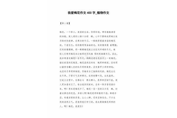 关于梅花的作文