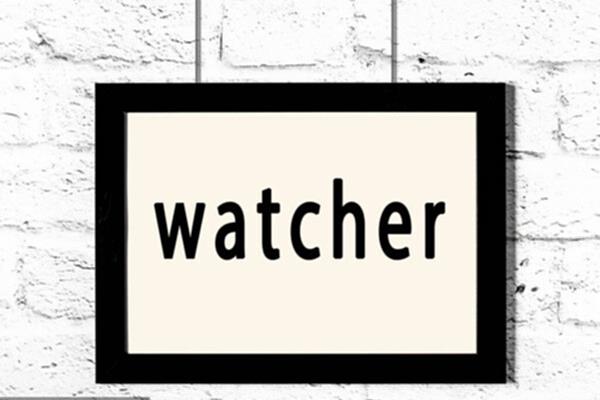 watcher