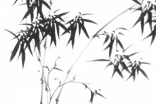 中国画图片