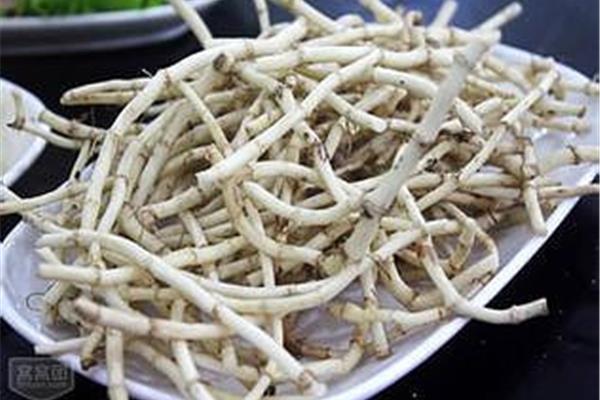 鱼腥草有什么作用