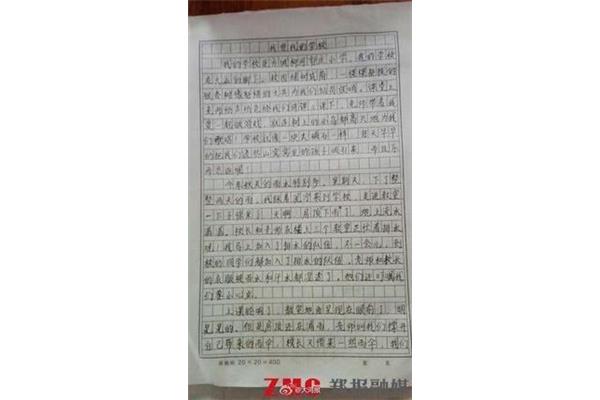 我爱我的学校作文