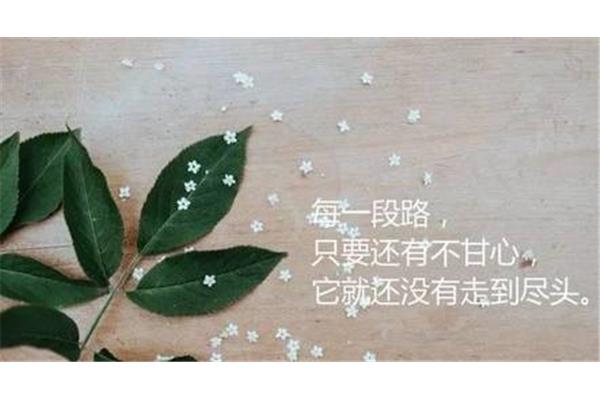 致自己的短句