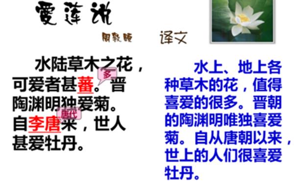 爱莲说的译文
