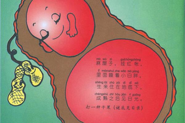 关于桥的谜语
