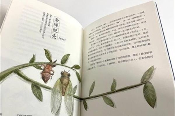 昆虫记被誉为什么