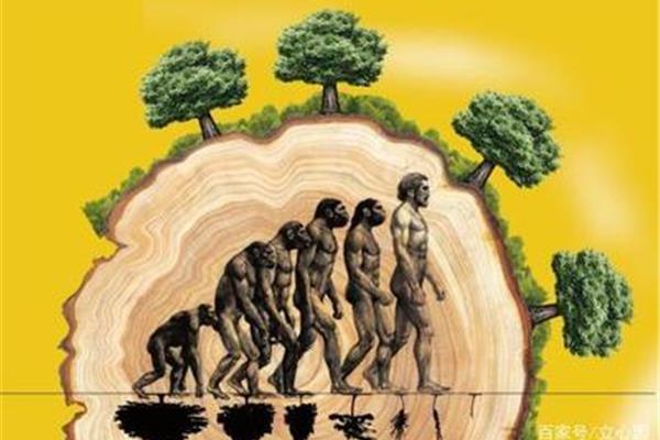 人类与自然