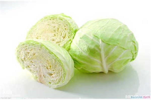 卷心菜英文