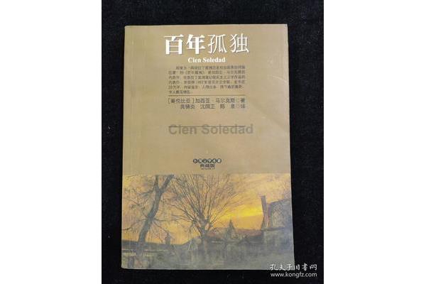 百年孤独讲的什么