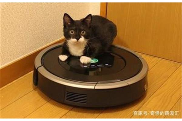 猫型机器人