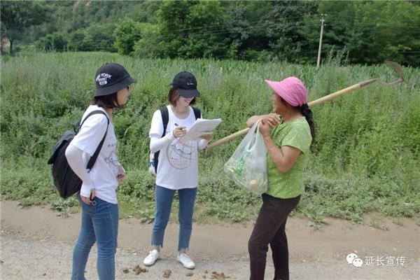 社会实践活动主题
