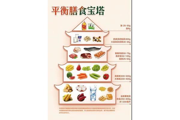 健康饮食知识
